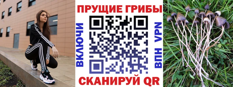 Псилоцибиновые грибы ЛСД  Купить где  Чистополь 